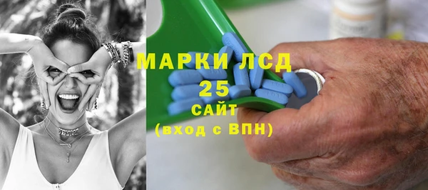 ПСИЛОЦИБИНОВЫЕ ГРИБЫ Арсеньев