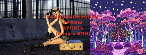 ПСИЛОЦИБИНОВЫЕ ГРИБЫ Арсеньев
