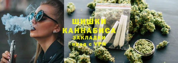 ПСИЛОЦИБИНОВЫЕ ГРИБЫ Арсеньев